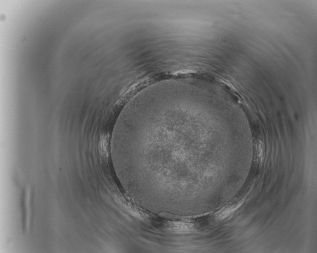 X0000086930286200704231338