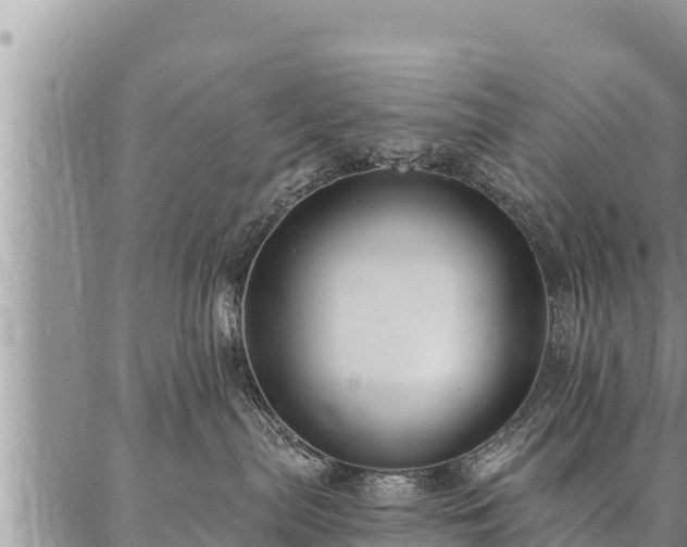 X0000086930287200704231338