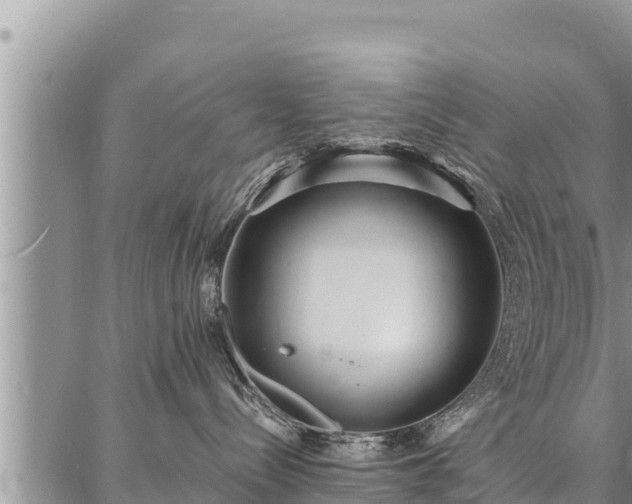 X0000086930288200704231338