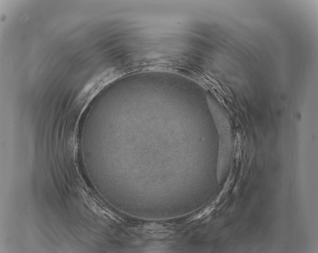 X0000086930290200704231337