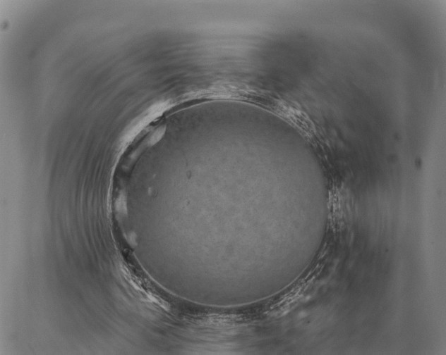 X0000086930292200704231337