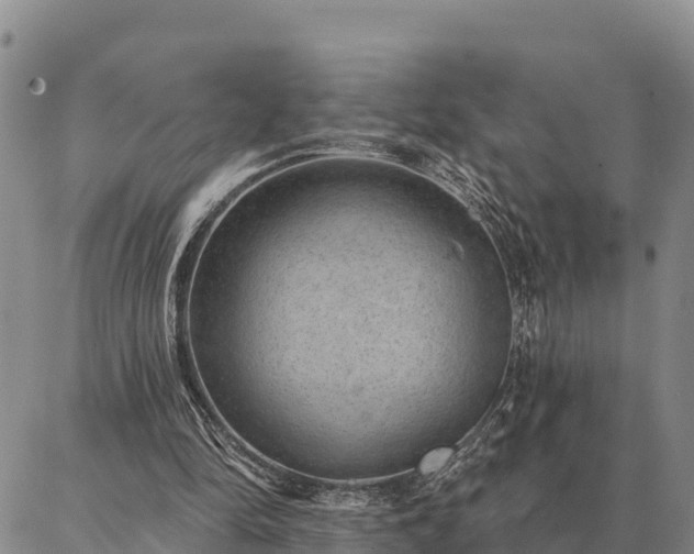 X0000086930294200704231337