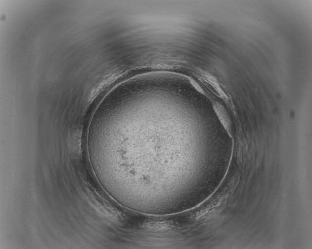 X0000086930299200704231337