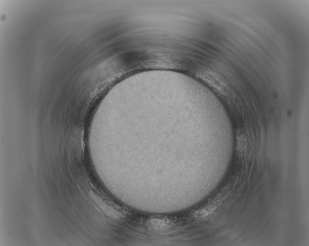 X0000086930302200704231337