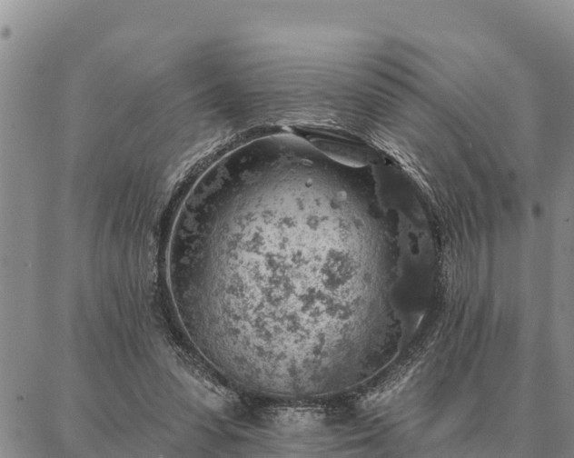 X0000086930303200704231337