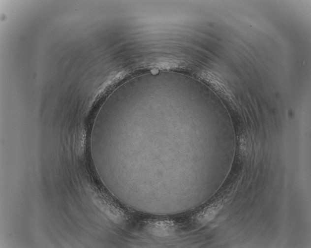 X0000086930304200704231337