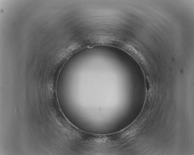 X0000086930306200704231337