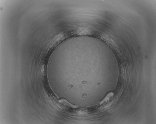 X0000086930308200704231337