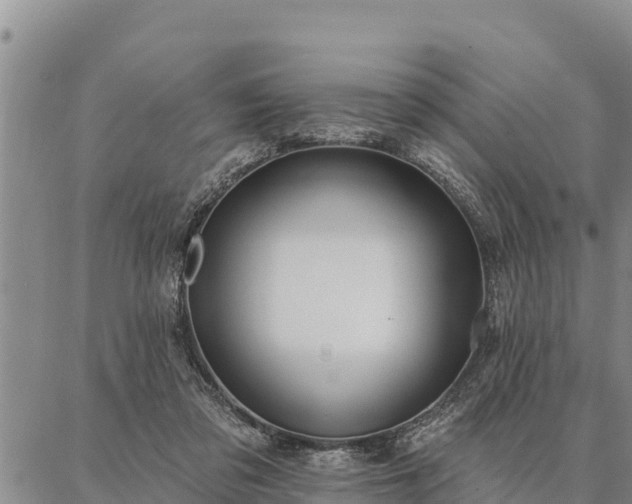 X0000086930309200704231337