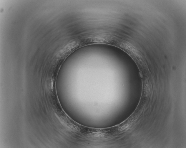 X0000086930310200704231337