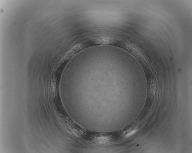 X0000086930312200704231337