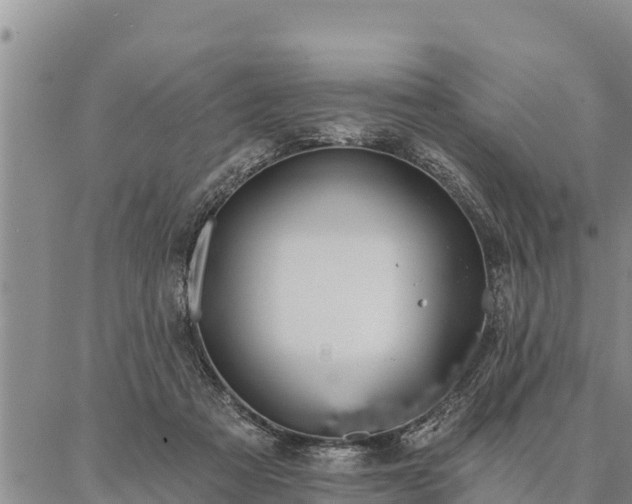 X0000086930313200704231337