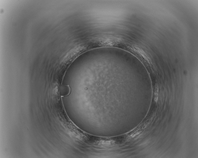 X0000086930314200704231337