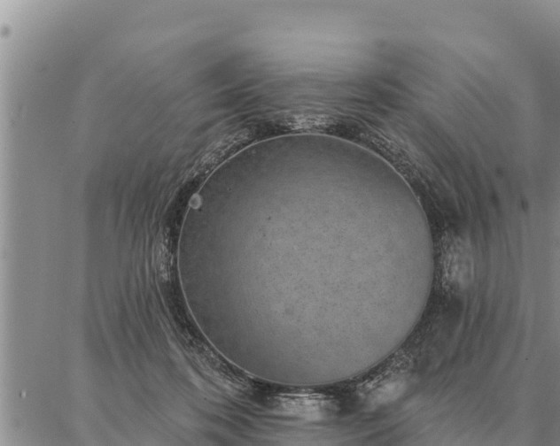 X0000086930316200704231337