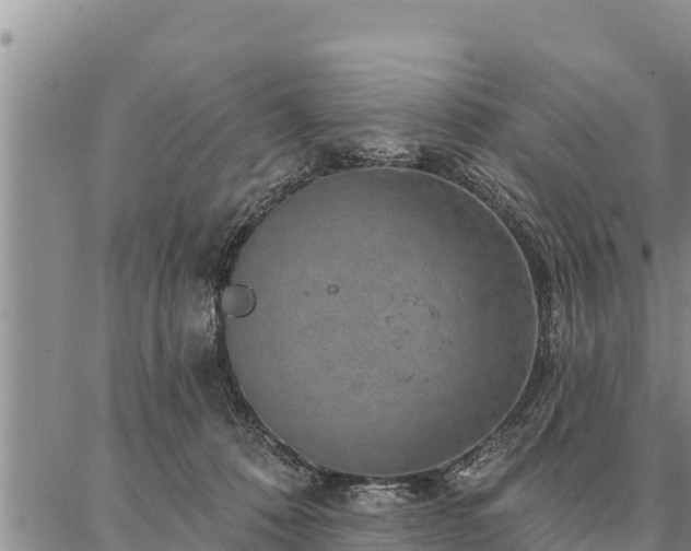 X0000086930320200704231337