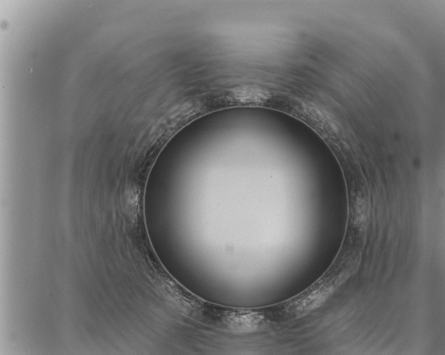 X0000086930321200704231337