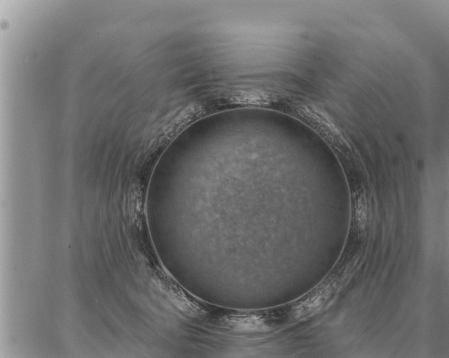 X0000086930322200704231337