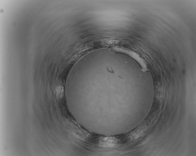 X0000086930324200704231337