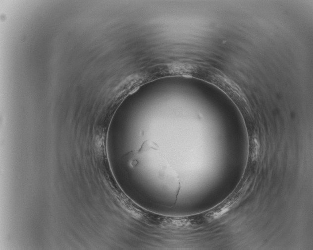 X0000086930329200704231337