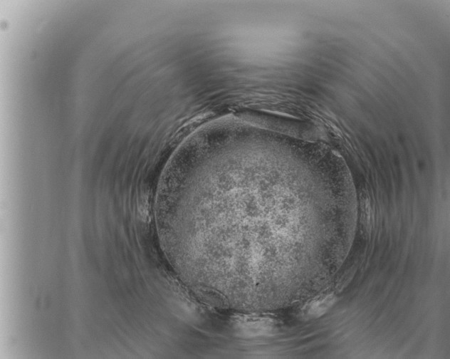 X0000086930331200704231337