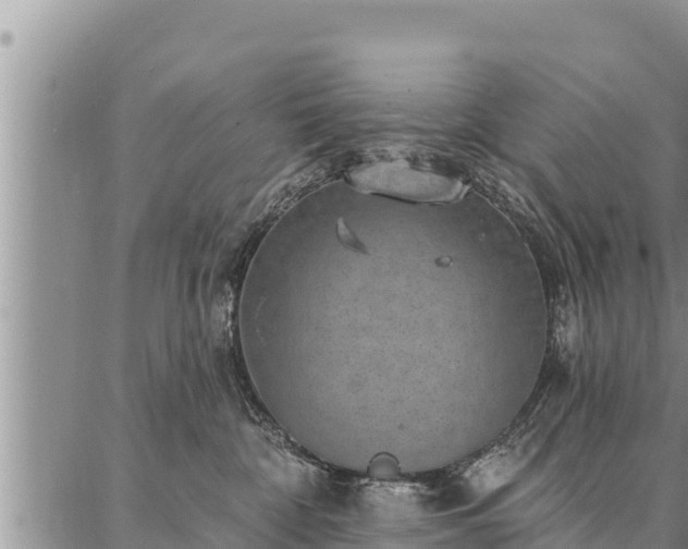 X0000086930332200704231337