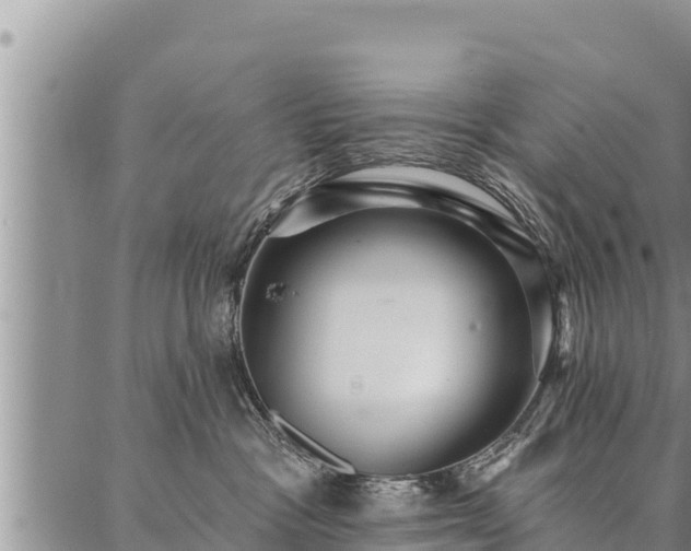 X0000086930333200704231336