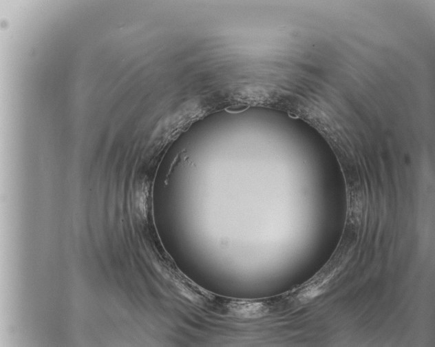 X0000086930334200704231336