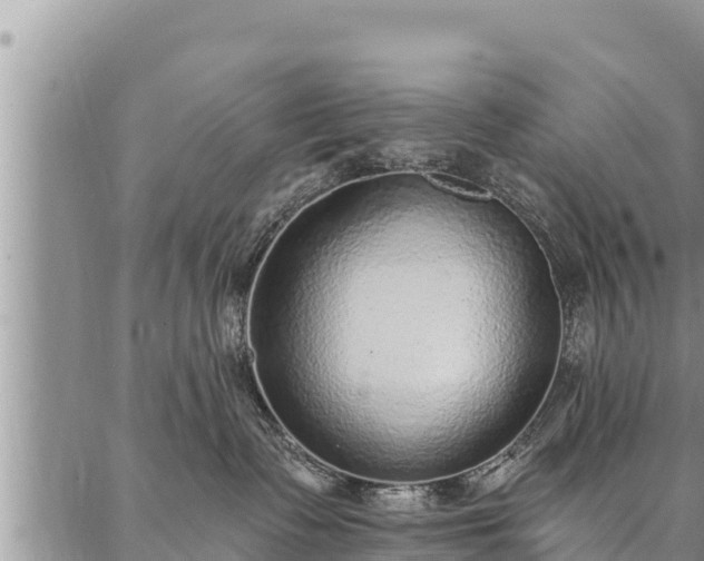 X0000086930335200704231336