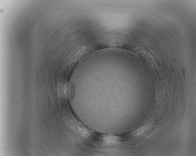 X0000086930336200704231336