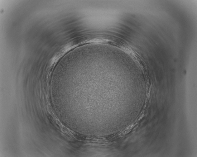 X0000086930337200704231336