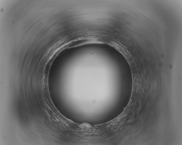 X0000086930338200704231336