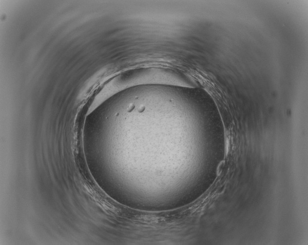 X0000086930339200704231336