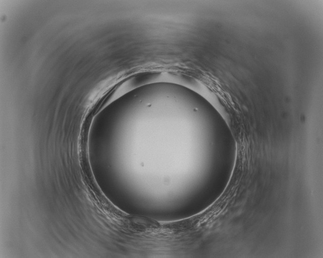 X0000086930340200704231336