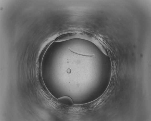 X0000086930342200704231336