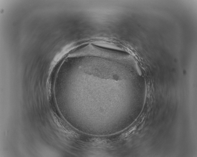 X0000086930343200704231336