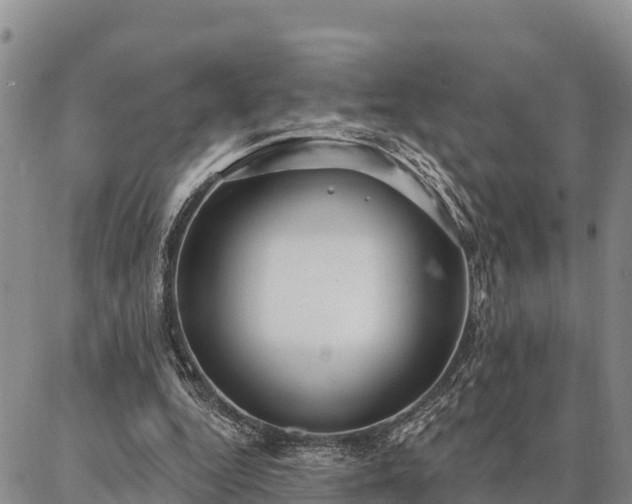 X0000086930344200704231336