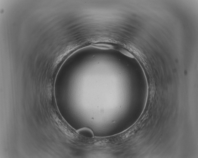 X0000086930345200704231336