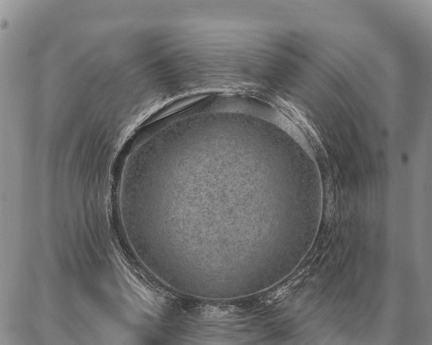 X0000086930346200704231336