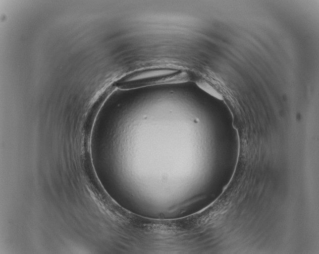 X0000086930347200704231336