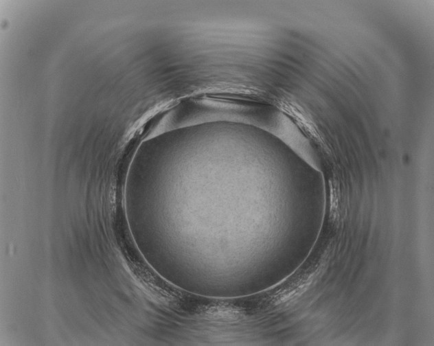 X0000086930348200704231336