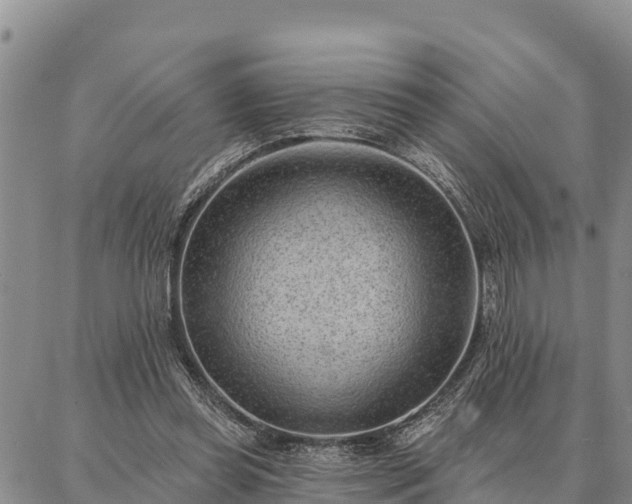 X0000086930349200704231336