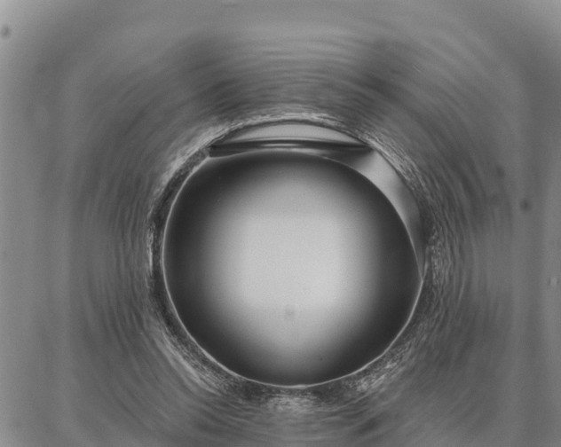 X0000086930350200704231336