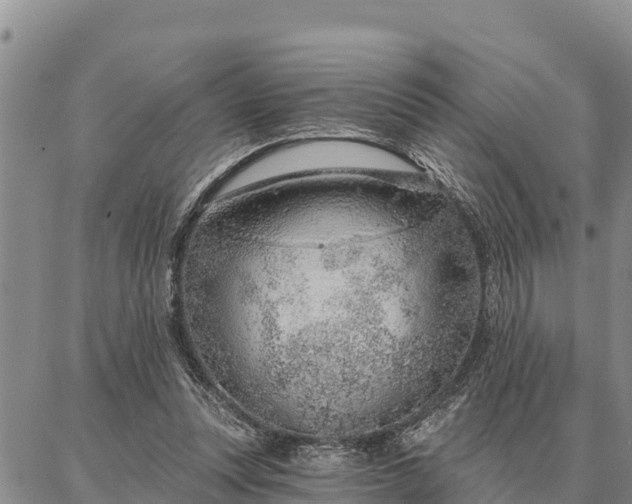 X0000086930351200704231336