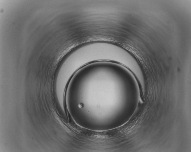 X0000086930352200704231336