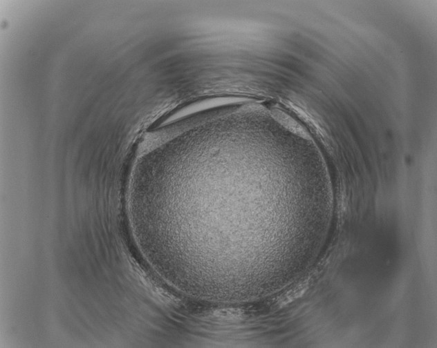 X0000086930353200704231336