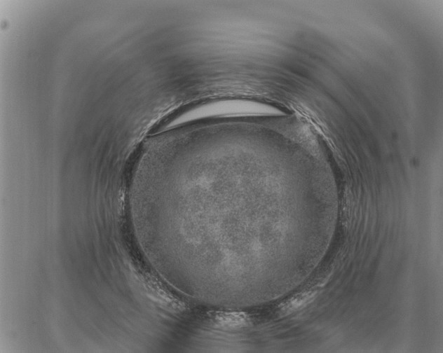 X0000086930355200704231336