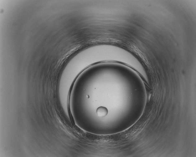 X0000086930356200704231336