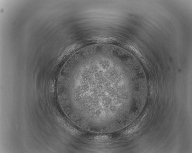 X0000086930357200704231336