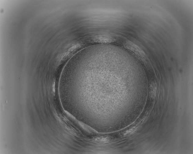 X0000086930358200704231336