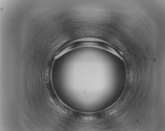 X0000086930360200704231336